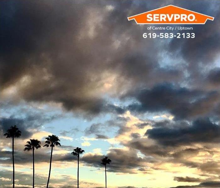 Storm clouds gather above palm trees.