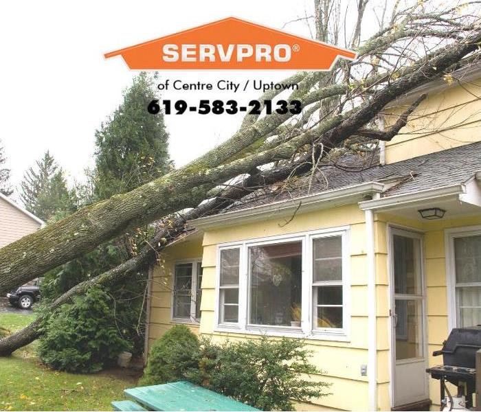 A fallen tree is shown in a neighborhood.  