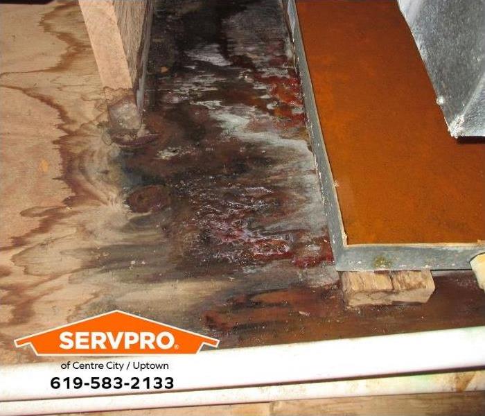 A wooden subfloor reveals water damage. 