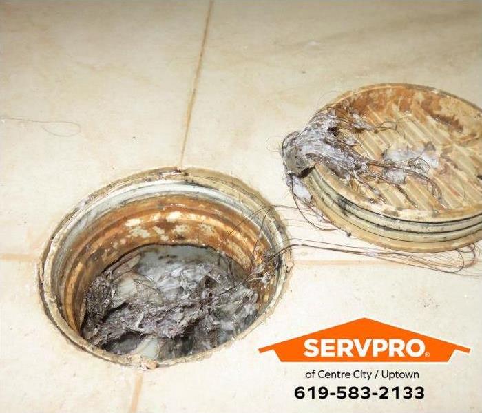 A clogged drain reveals the source of a foul odor.