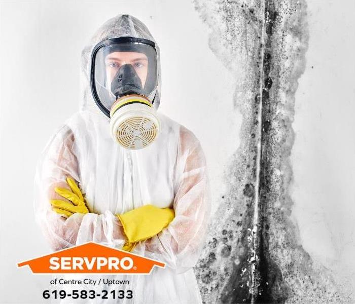 A mold remediation technician is wearing a hazmat suit and a respirator in preparation for providing mold remediation service